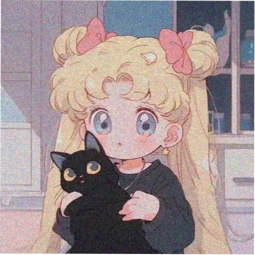 风信使者